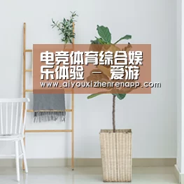 产品名称六(图1)